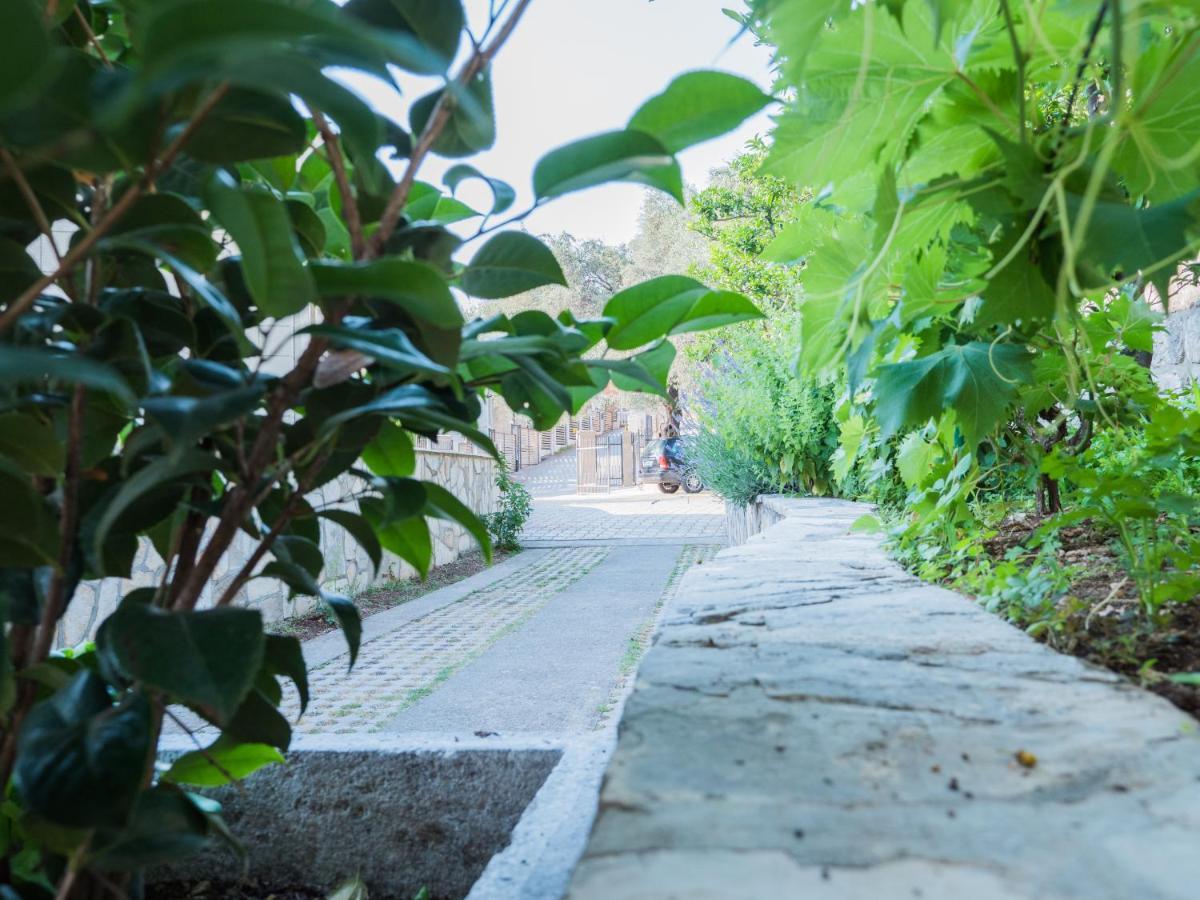 Rezevici Boutique Villa Petrovac Dış mekan fotoğraf